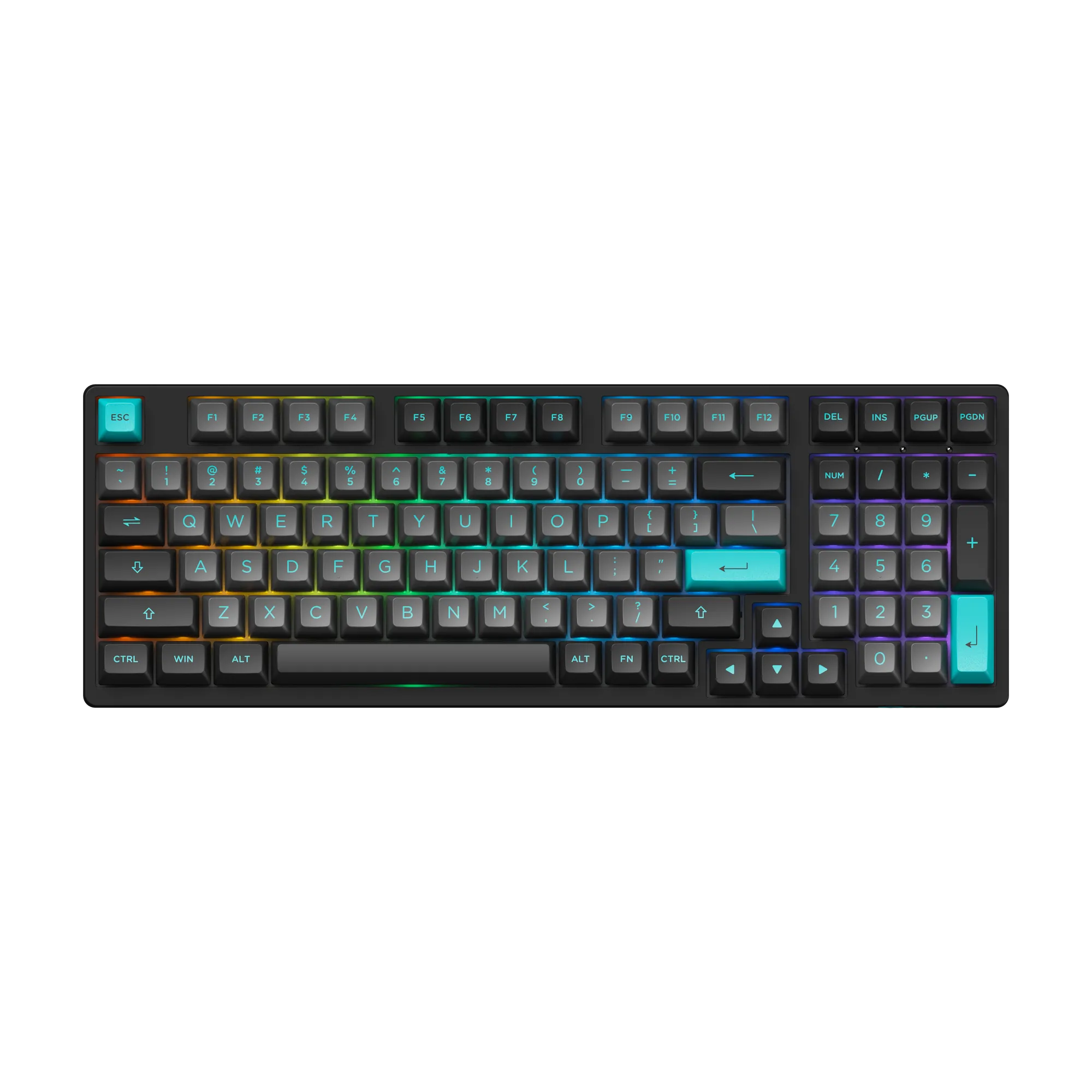 Black & Cyan 3098B Plus