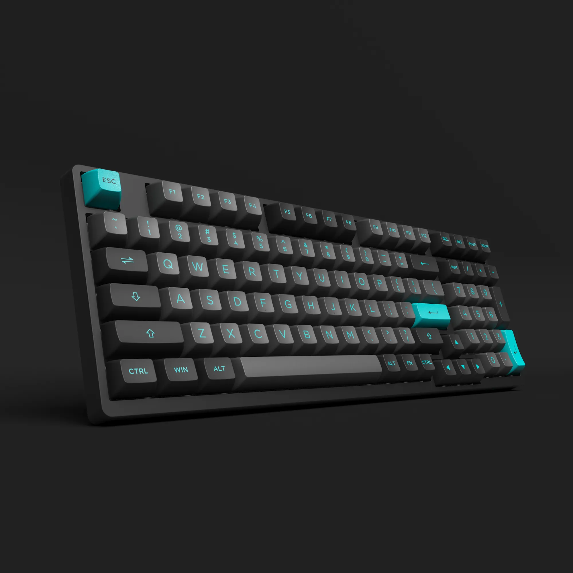 Black & Cyan 3098B Plus