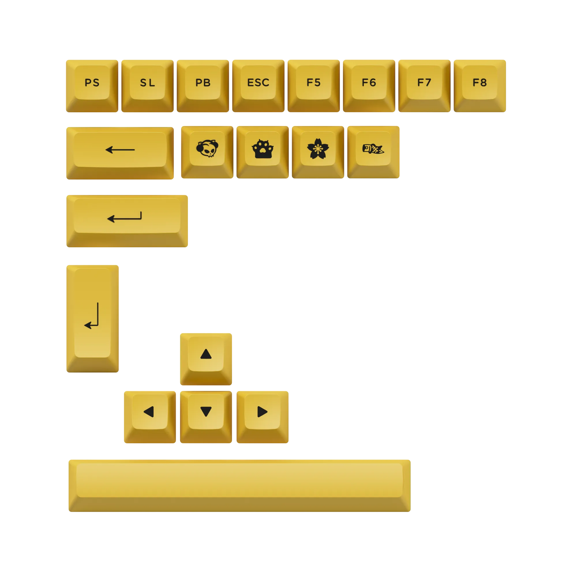 Black & Gold 6104