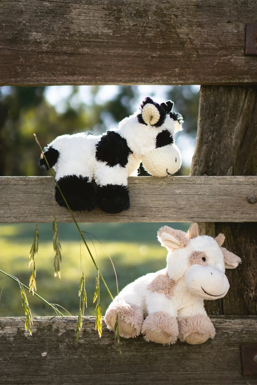 Coco The Cow | Beige