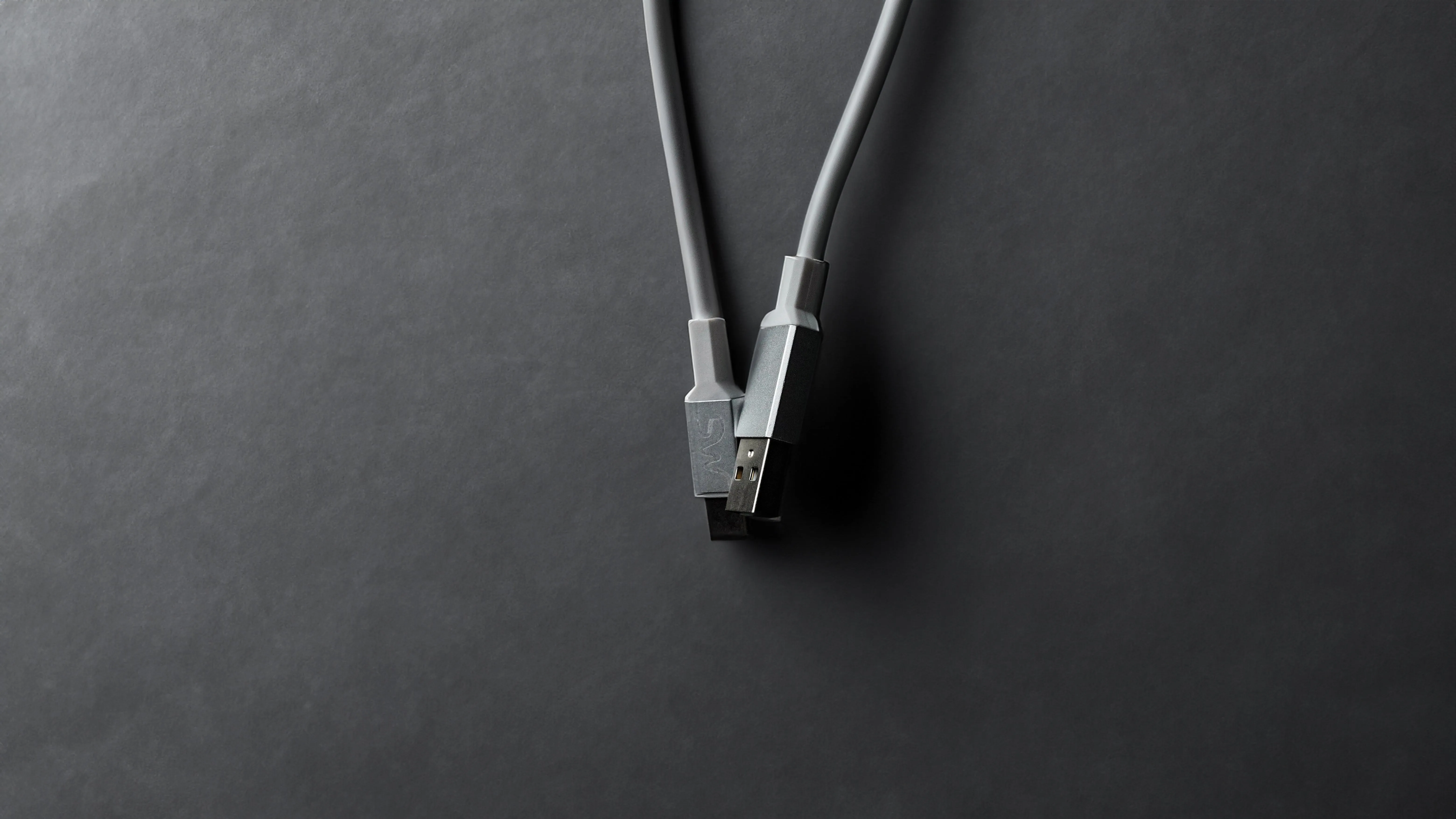 SW Chewy Custom Cable C to C / A to C